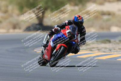 media/May-14-2023-SoCal Trackdays (Sun) [[024eb53b40]]/Turn 5 Tree of Life (1125am)/